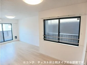 のマンスリーマンション・ウィークリーマンション「メゾンフルール 303・洋室(No.1418604)」メイン画像