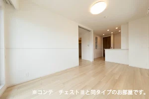 のマンスリーマンション・ウィークリーマンション「ラ・クラリテ高須 302・洋室(No.1431961)」メイン画像
