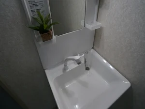 脱衣場：洗面台