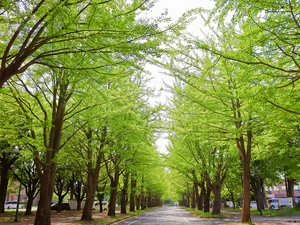 北海道大学 徒歩8分