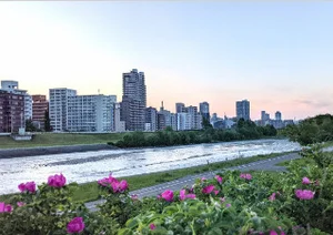 豊平川 徒歩7分