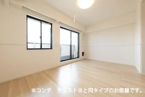 のマンスリーマンション・ウィークリーマンション「エリシオン・レジデンスⅤ 303・洋室(No.1445482)」メイン画像