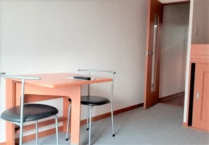松戸駅（千葉県）のマンスリーマンション・ウィークリーマンション「レオパレスサザンハイツ 203(No.1452360)」メイン画像