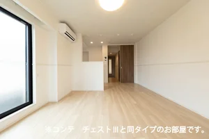 のマンスリーマンション・ウィークリーマンション「グレイスパークⅢ 206・洋室(No.1461213)」メイン画像