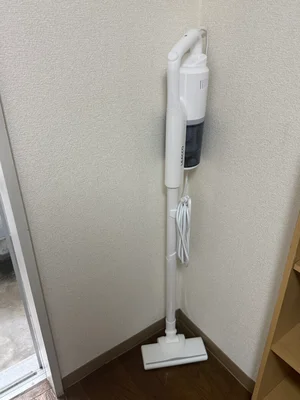 掃除機買う必要なし♪