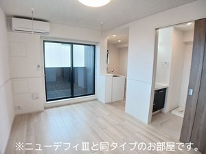 のマンスリーマンション・ウィークリーマンション「ドリームズ・カム 202・洋室(No.1498996)」メイン画像