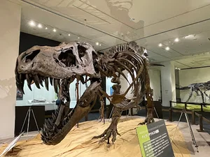 岡山シティミュージアムまで徒歩13分