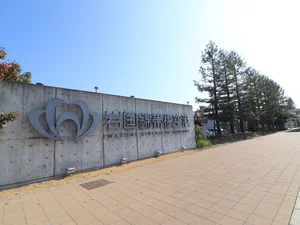 岩国錦帯橋空港