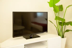 観葉植物(フェイク)は撤去済みです。