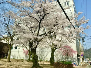 今西公園まで徒歩１分