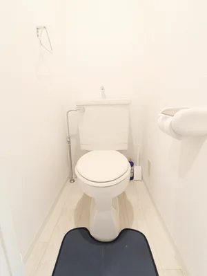 バストイレ別で　トイレブラシや洗剤などもすべて標準品なので清潔に保っていただけます。