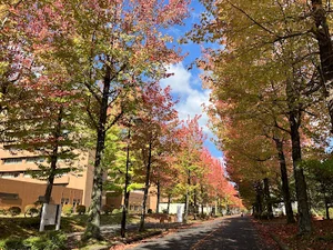広島大学まで車で６分
