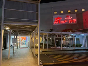 天然温泉ホットカモまで車で１０分