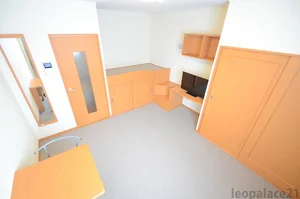 のマンスリーマンション・ウィークリーマンション「レオパレスエスペランサ古府 201(No.160376)」メイン画像