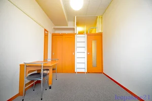 奈良県のマンスリーマンション・ウィークリーマンション「レオパレスブルースカイ王寺 204(No.168759)」メイン画像