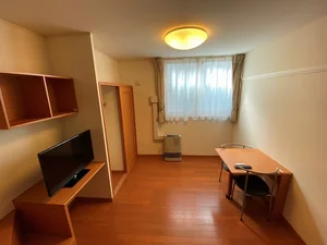 手稲駅（北海道）のマンスリーマンション・ウィークリーマンション「レオパレスライブリーⅢ 106(No.179061)」メイン画像