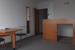 埼玉県のマンスリーマンション・ウィークリーマンション「レオパレスキャノーラ 208(No.185350)」メイン画像