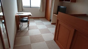 常葉大学静岡草薙キャンパス周辺のマンスリーマンション・ウィークリーマンション「レオパレスＳｏｕｔｈ　ｐａｌ 203(No.194886)」メイン画像