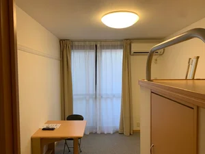 川崎市多摩区のマンスリーマンション・ウィークリーマンション「レオパレスウブスナ 203(No.225798)」メイン画像
