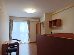 鹿児島県のマンスリーマンション・ウィークリーマンション「レオパレスチェリ 106(No.253071)」メイン画像