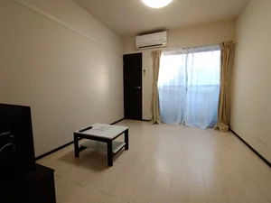 田園調布学園大学周辺のマンスリーマンション・ウィークリーマンション「レオネクストシャーロット 205(No.262730)」メイン画像