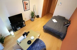 叡啓大学周辺のマンスリーマンション・ウィークリーマンション「Kマンスリーマツダスタジアム南（広島段原ショッピングセンター東） 208・1K-【中部屋】(No.265939)」メイン画像