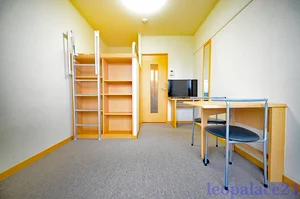 のマンスリーマンション・ウィークリーマンション「レオパレスエターナルⅠ 209(No.268136)」メイン画像