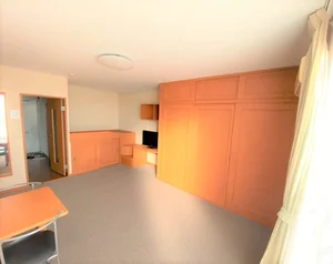 豊川市民病院周辺のマンスリーマンション・ウィークリーマンション「レオパレスシーグリーン 203(No.284939)」メイン画像