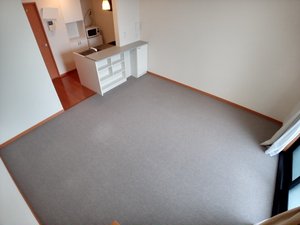 のマンスリーマンション・ウィークリーマンション「レオパレスドリーム１１８ 204(No.303415)」メイン画像