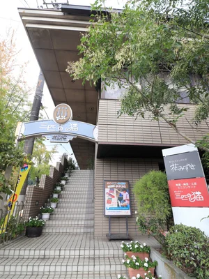 ギャラリー三匹の猫