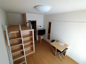 川崎市多摩区のマンスリーマンション・ウィークリーマンション「レオパレス宿河原 301(No.305311)」メイン画像