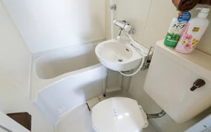 ユニットタイプとなり、ボディソープやシャンプー、リンス、バスマジックリン、トイレットペーパーなど各種揃えております♪北長瀬エリアは、利便性に優れた人気のエリアなので、ドラッグストアーや24時間スーパーなど数多くあります。足りないものがあってもすぐに買いに行けるのも魅力の１つですね(*^^)v