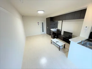 のマンスリーマンション・ウィークリーマンション「レオネクストシェーネビルト 206(No.308345)」メイン画像