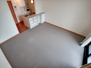 のマンスリーマンション・ウィークリーマンション「レオパレスドリーム１１８ 205(No.309340)」メイン画像