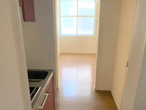 のマンスリーマンション・ウィークリーマンション「レオパレスミレニアム 203(No.309634)」メイン画像