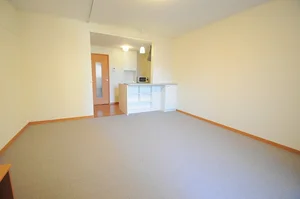 のマンスリーマンション・ウィークリーマンション「レオパレス芳田Ⅱ 204(No.327040)」メイン画像