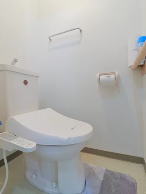 シャワートイレ機能付きトイレ トイレブラシや洗剤も標準品となっているので清潔に保っていただけます。
