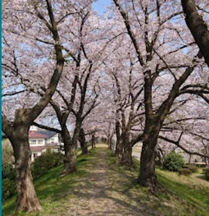 弁天島公園まで徒歩5分