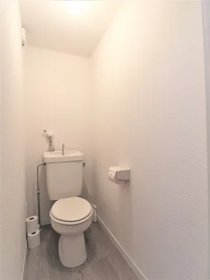 洋式水洗トイレです。　トイレブラシや洗剤等もあり！　清潔に保っていただけます。