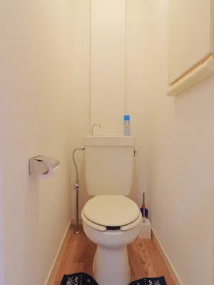 トイレはトイレットペーパーはもちろん　トイレブラシや洗剤なども標準品です！