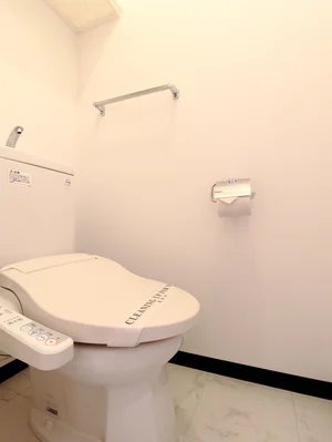 シャワートイレ機能付きトイレ　トイレブラシや洗剤も標準品となっているので清潔に保っていただけます。