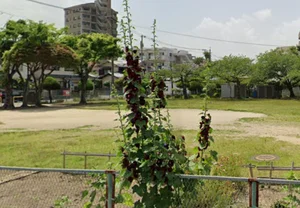 ふたば公園
