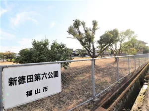 新徳田第6公園
