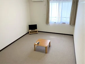 のマンスリーマンション・ウィークリーマンション「レオネクストニューフィールド 206(No.355077)」メイン画像