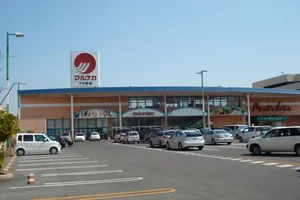 山陽マルナカ 下中野店まで徒歩12分、1.0km。