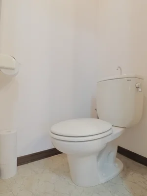 トイレットペーパーはもちろんトイレブラシや洗剤などもすべて標準品で清潔に保っていただけます。