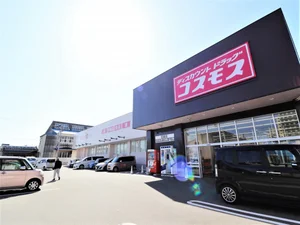 ディスカウントドラッグ　コスモス
