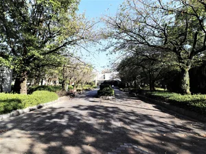 三本松公園