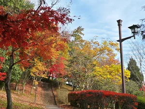 鏡山公園まで車で10分
