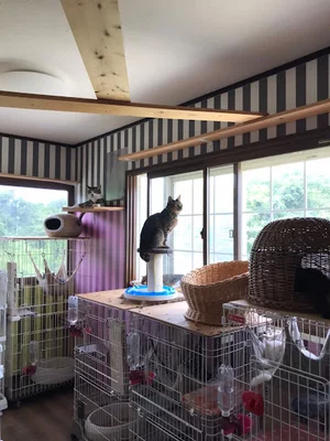 カフェ アンの時間まで車で3分